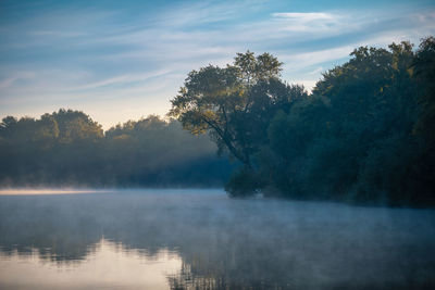 Trees by lake against sky