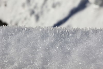 Full frame shot of frozen water