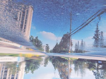 Reflection of trees in lake against sky