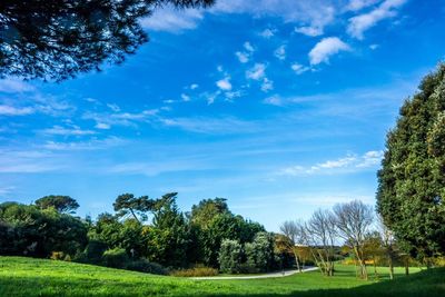 Scenic view of grassy field against cloudy sky