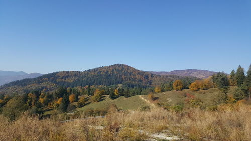 Scenic view of landscape against clear blue sky