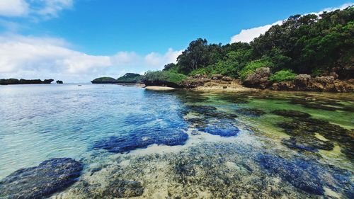 Scenic view of sea against sky