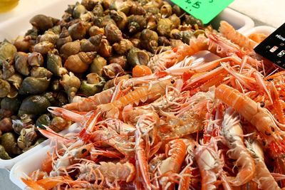 High angle view of shrimps and seashells in container at market stall