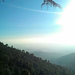 Scenic view of landscape against clear sky