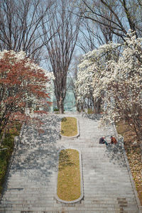 Footpath amidst bare trees in park during autumn