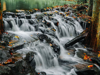 Scenic view of waterfall in forest