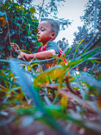 Boy looking at plants