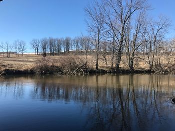 Bare trees on lake against clear sky