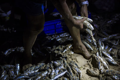 Low section of fisherman holding fishes while standing on sand at beach