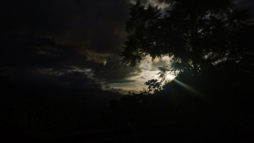 Silhouette trees against sky at night