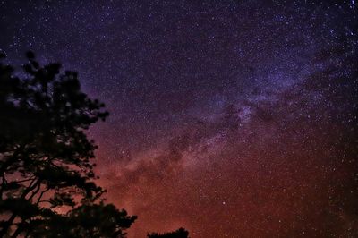 Low angle view of silhouette trees against sky at night