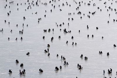 High angle view of people swimming in lake