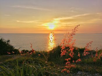 Scenic view of sea against sky during sunset