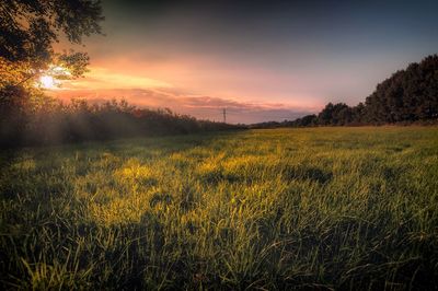 Scenic view of field against sky during sunset