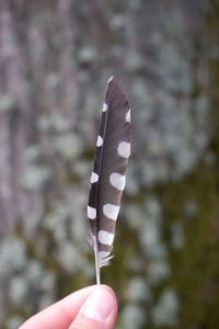 Close-up of hand holding butterfly
