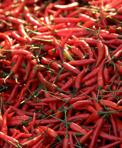 Full frame shot of red chili peppers for sale