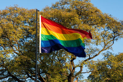 Low angle view of flag against sky