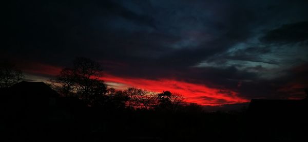Silhouette trees against dramatic sky at sunset