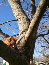 Low angle view of bare tree against sky