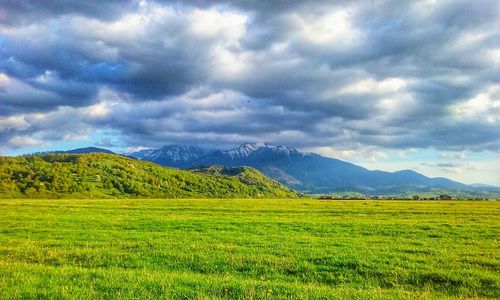 Scenic view of field against sky