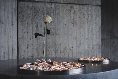 Flowers on table against wall