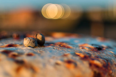 Close-up of rusty metal on rock against sky during sunset