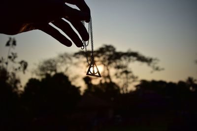 Close-up of silhouette hand holding tree against sky