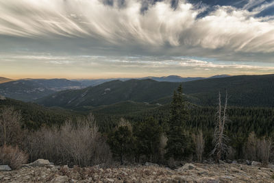 Evening view in the mount evans wilderness, colorado