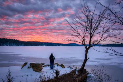Bare tree on snow covered landscape against sky during sunset
