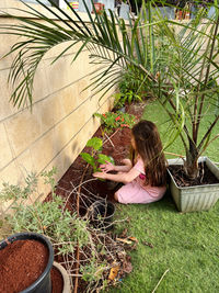 High angle view of woman standing amidst plants