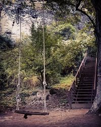 View of swing against trees in forest