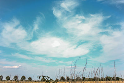 Low angle view of field against sky