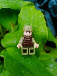 Close-up of toy with green leaves