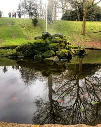 Reflection of trees on water