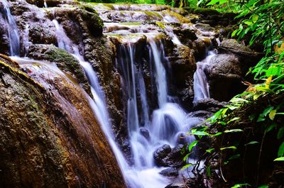 View of waterfall in forest