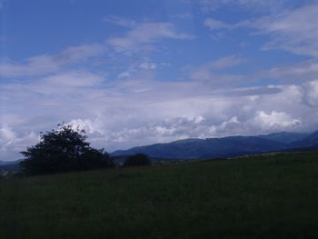 Scenic view of field against sky