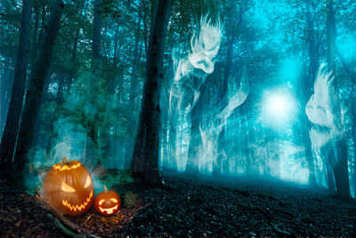 View of lit candles in a forest