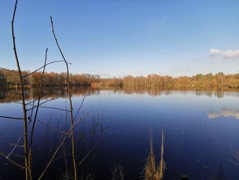 Scenic view of lake against blue sky