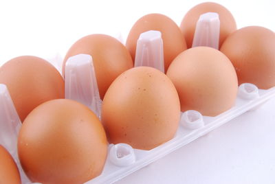 Close-up of eggs against white background