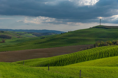 Scenic view of agricultural field against sky