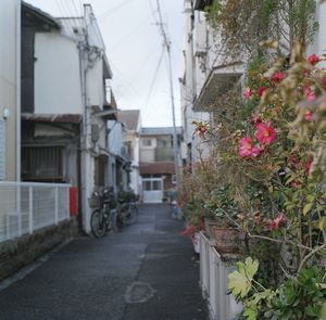 View of street amidst plants against sky