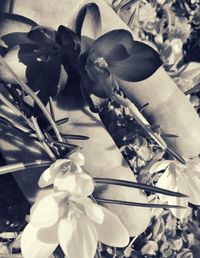 Close-up of wilted flower on table