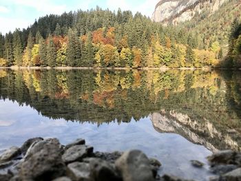 Scenic view of lake by trees during autumn