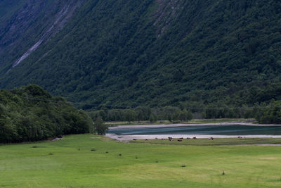 Scenic view of landscape