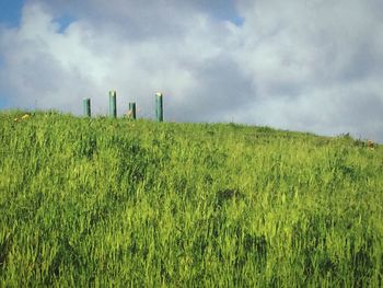 Scenic view of grassy field against cloudy sky