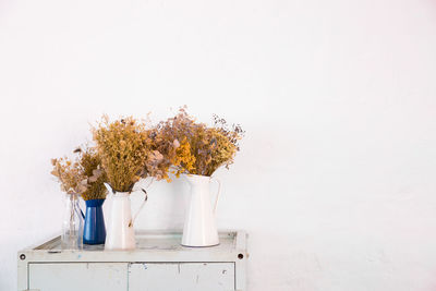 Potted plants on wall