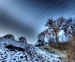 Trees and electricity pylon against sky during winter