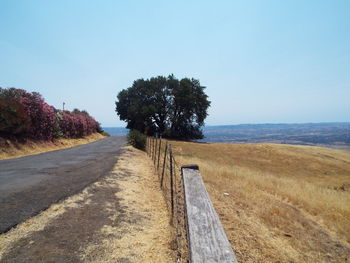 Road amidst trees against clear sky