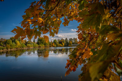 Trees by lake against sky during autumn