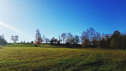 Trees on field against clear sky